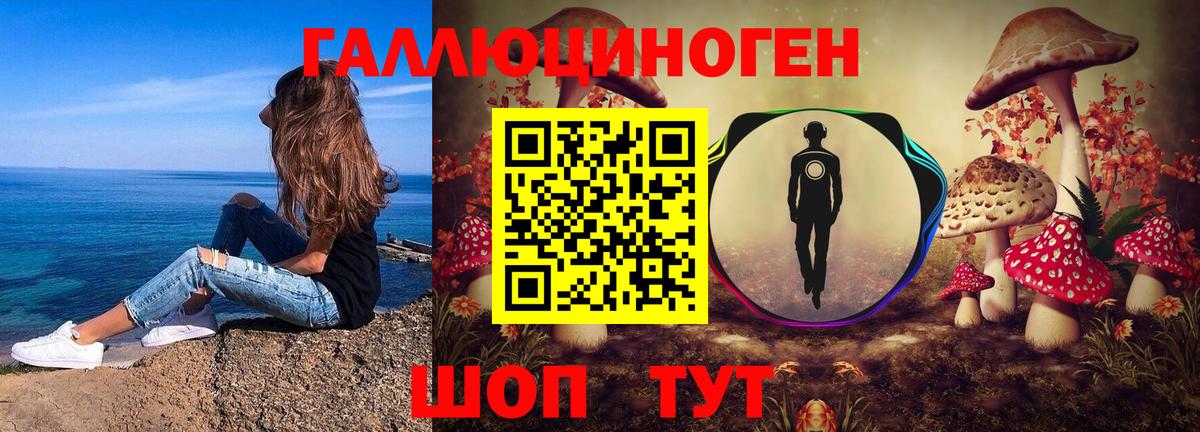 Магадан  Псилоцибиновые грибы Psilocybine cubensis  Вход с VPN 